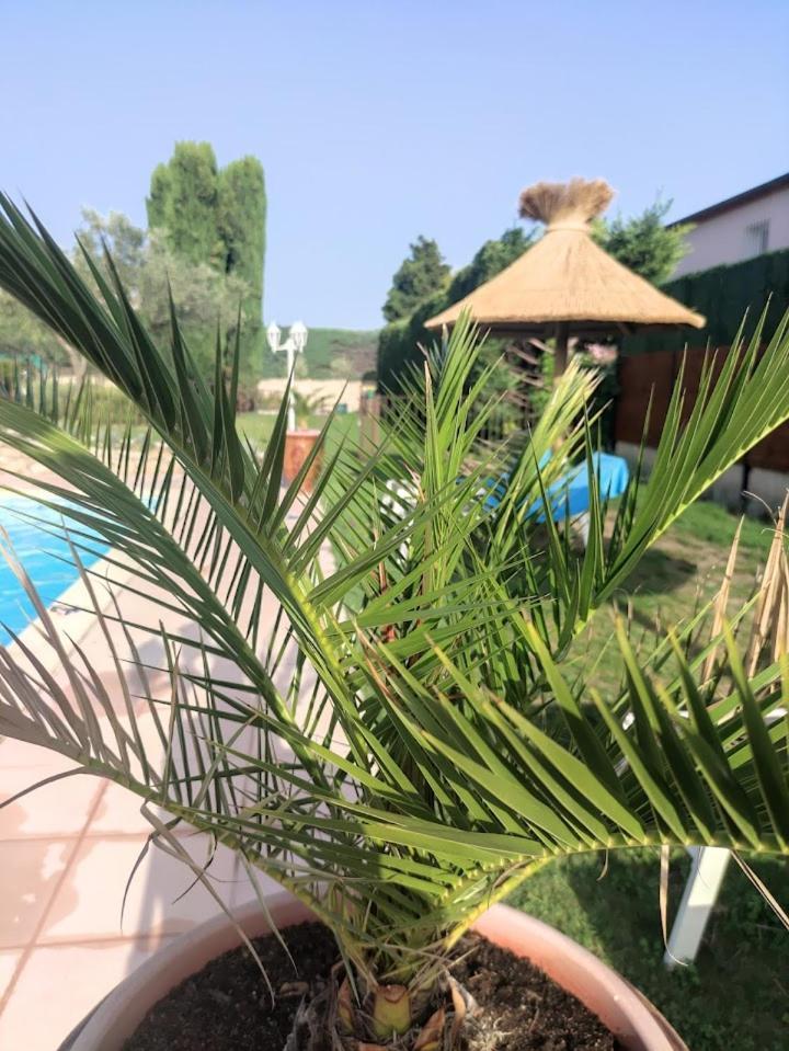 Aramon Les Chambres D'Hotes D'Eloise, Piscine Privee المظهر الخارجي الصورة